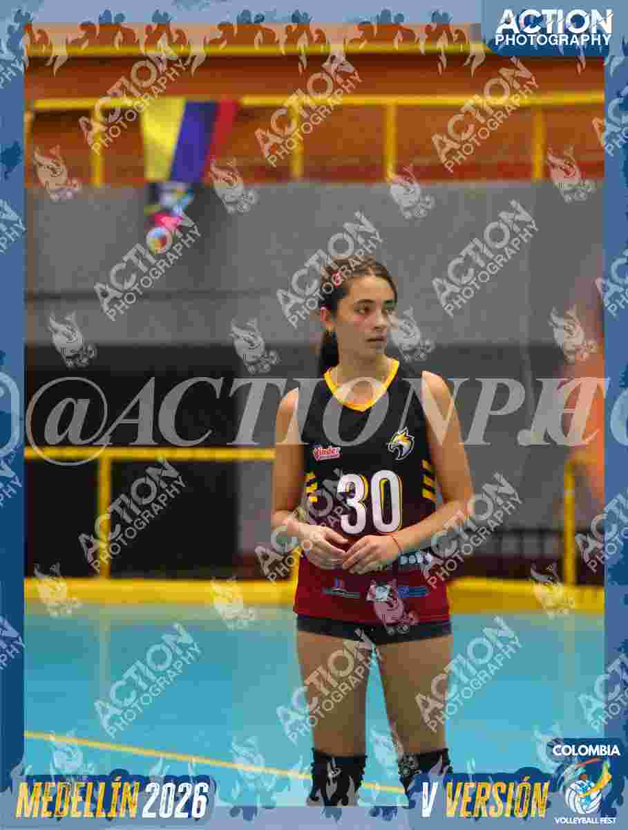 FALCON  Foto 8
