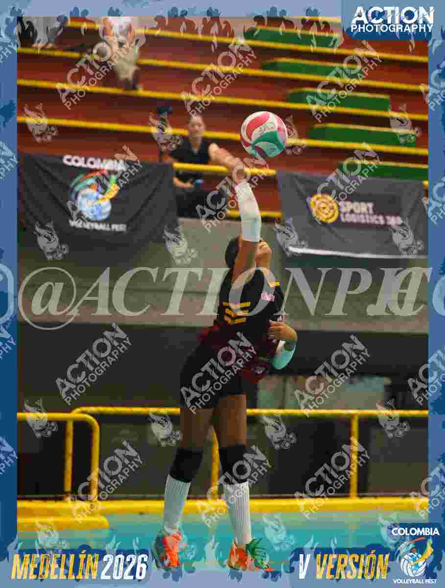 FALCON Foto 10