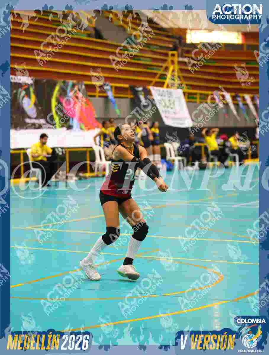 FALCON Foto 10