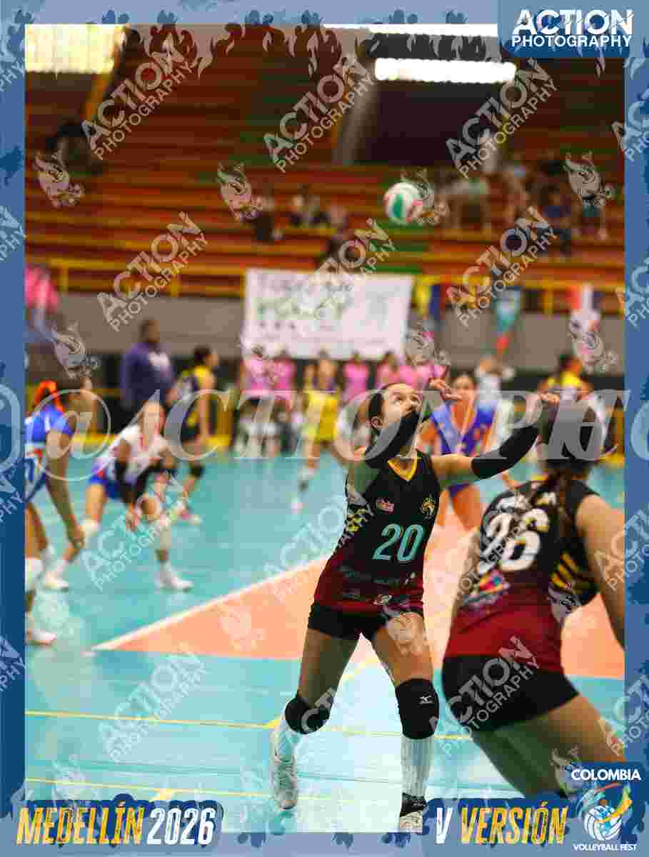 FALCON Foto 10