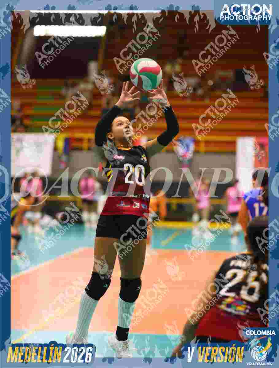 FALCON Foto 10