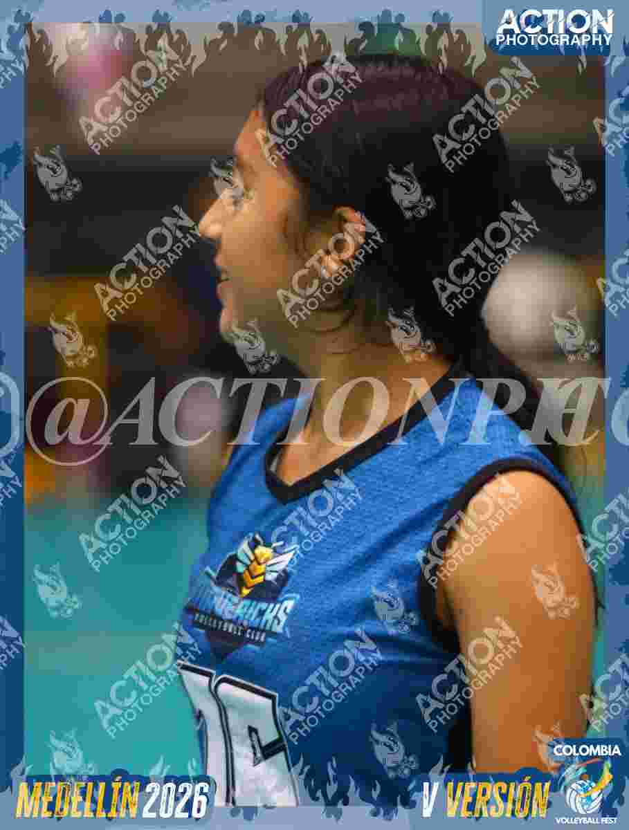 Preview de MAVERICK 