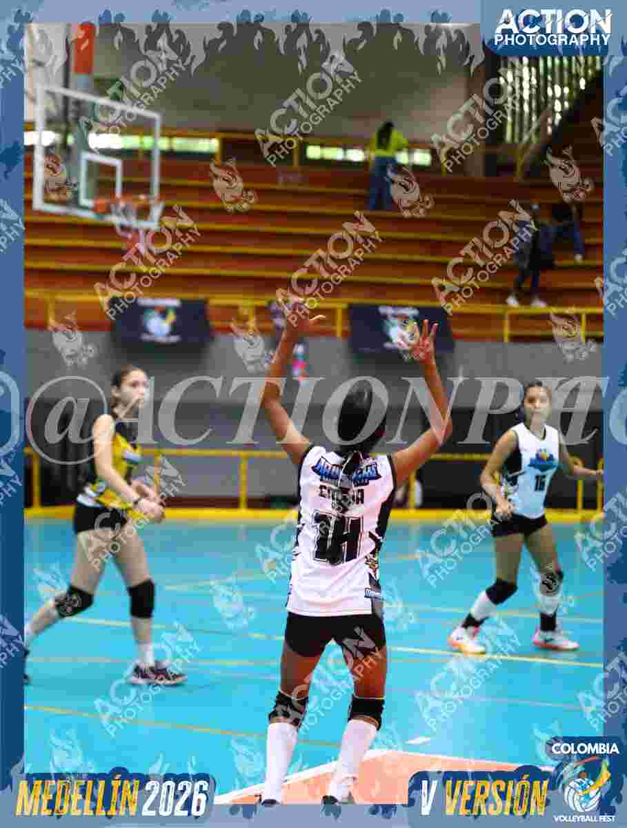 MAVERICK Foto 16