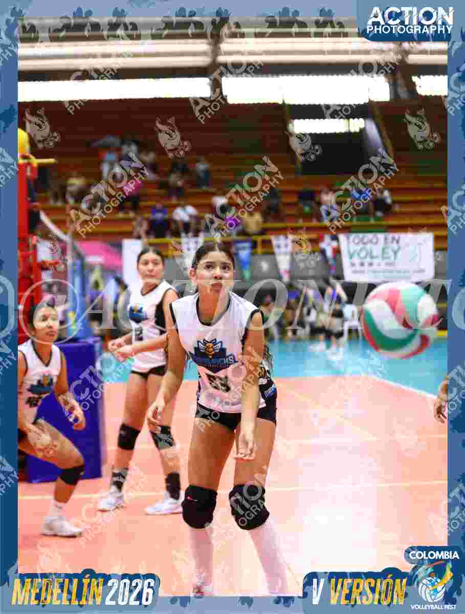Preview de MAVERICK