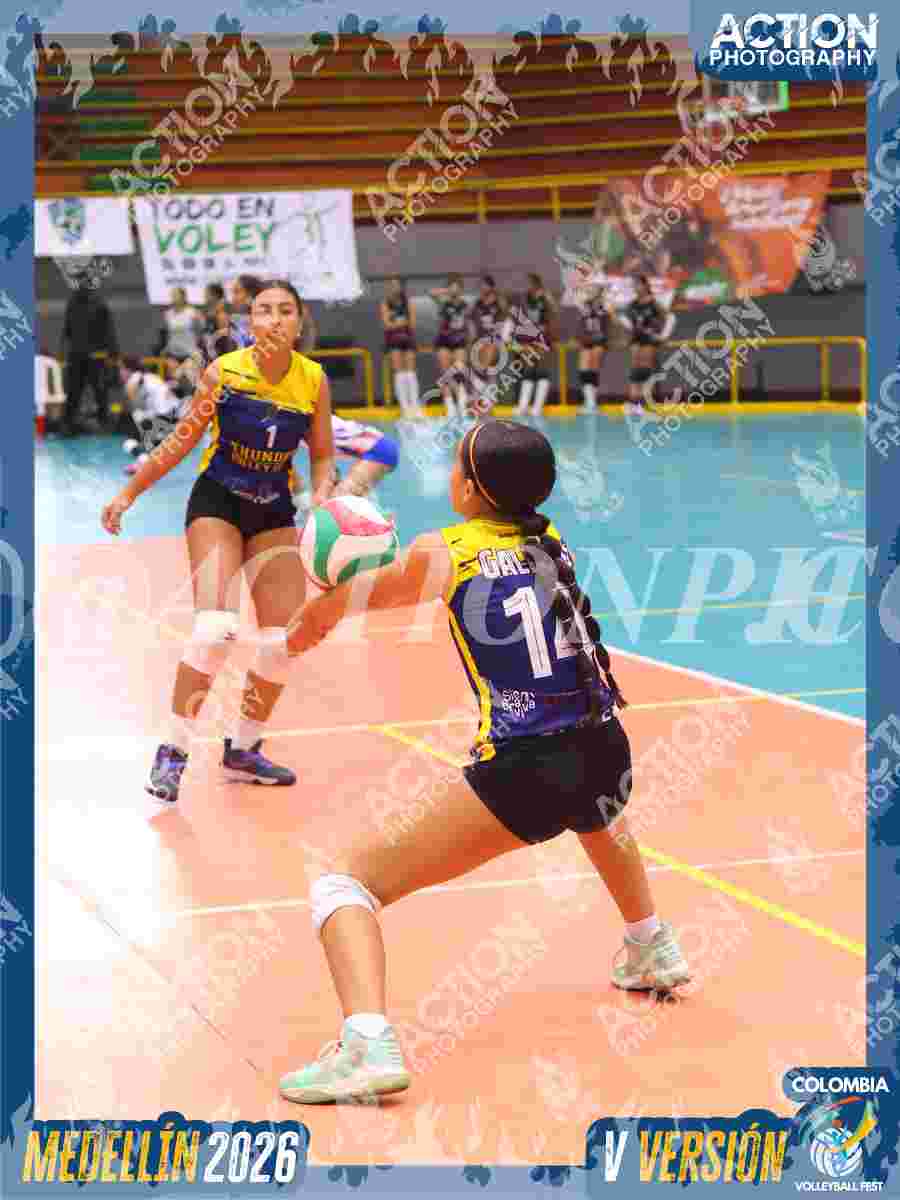 Preview de THUNDER VOLLEY CLUB