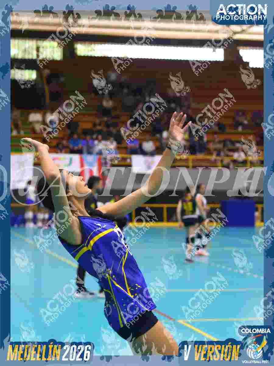TIGRES JP Foto 1