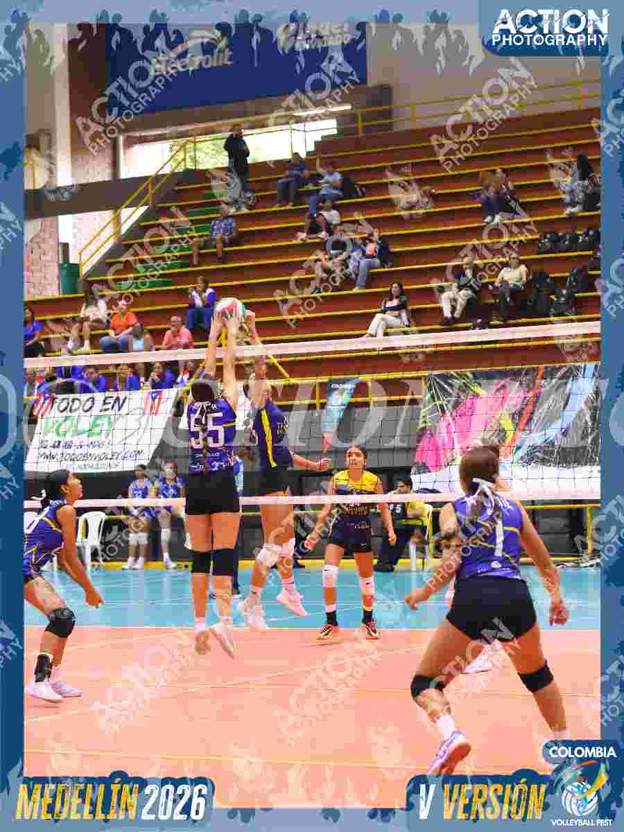 TIGRES JP Foto 3