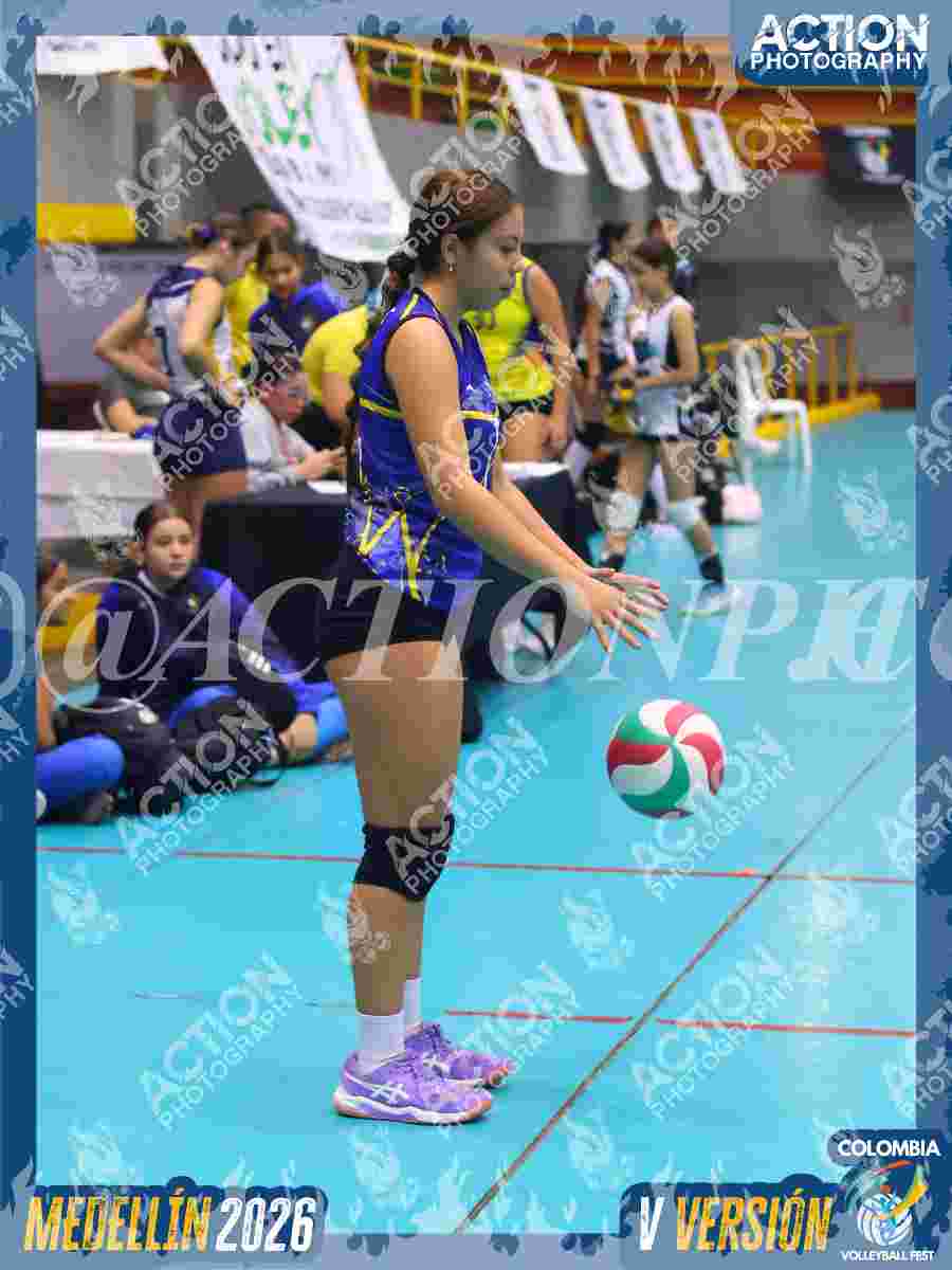 TIGRES JP Foto 1