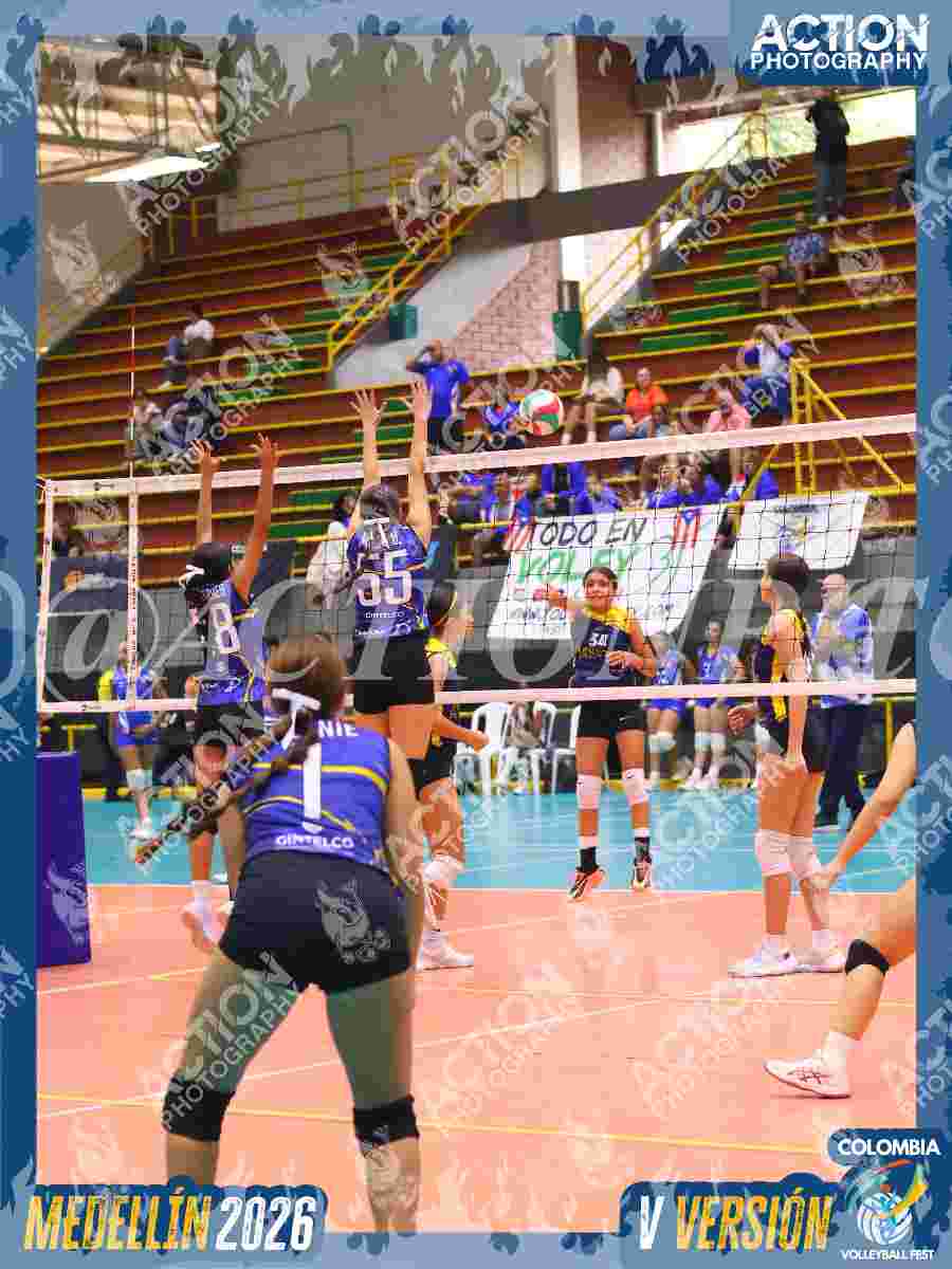 TIGRES JP Foto 12