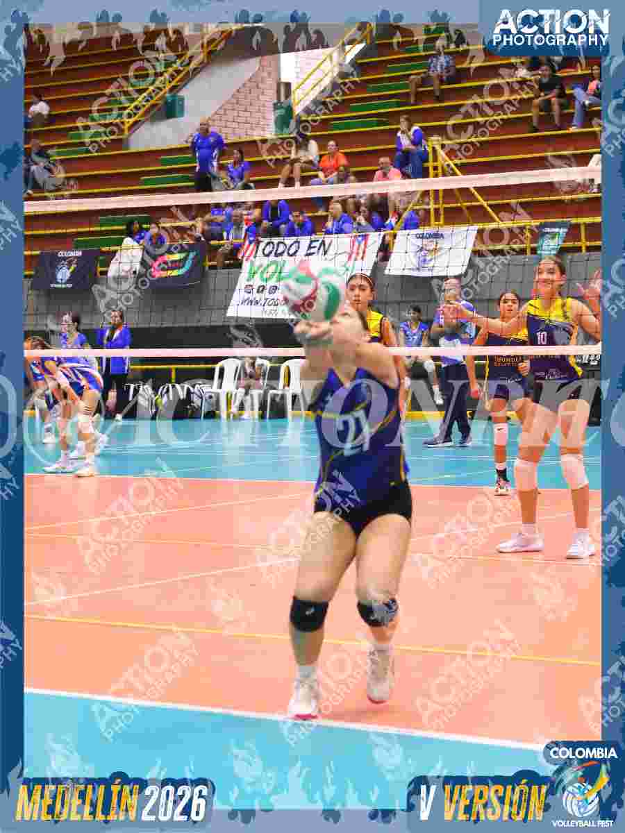 TIGRES JP Foto 1