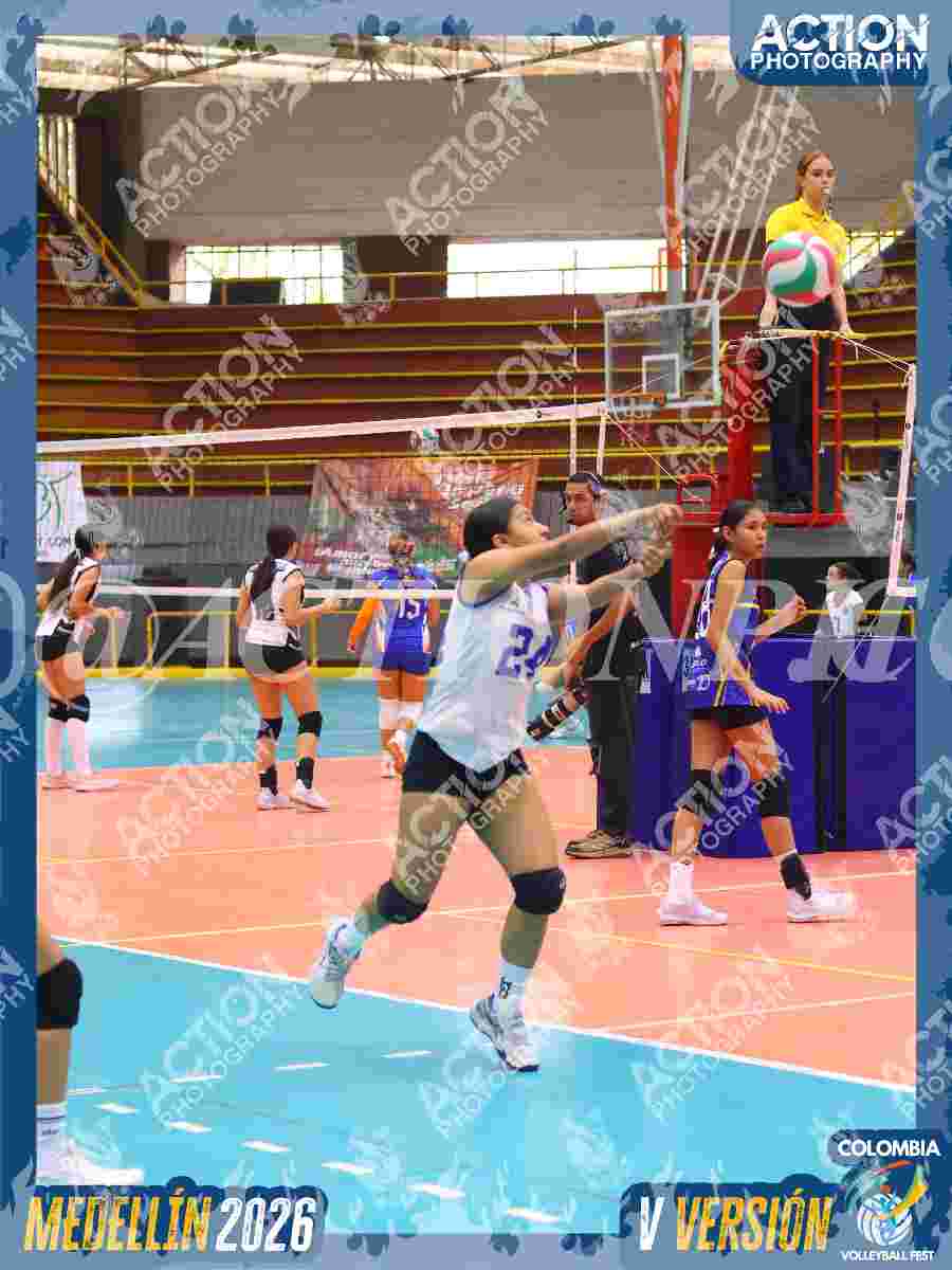 TIGRES JP Foto 3