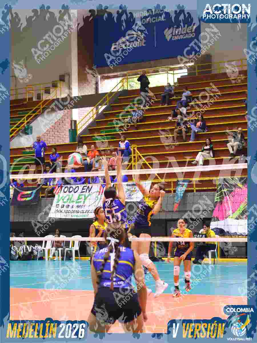TIGRES JP Foto 3