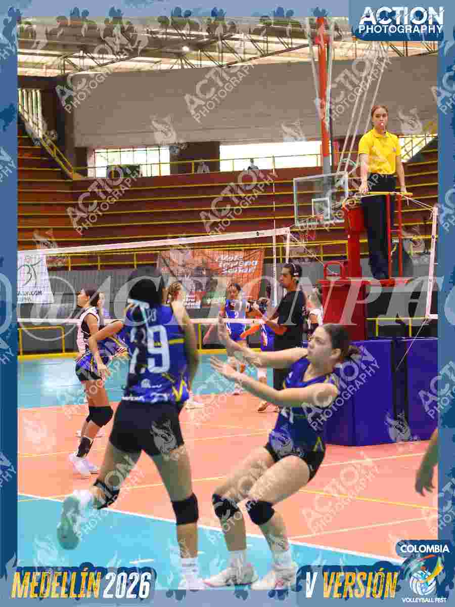 TIGRES JP Foto 3