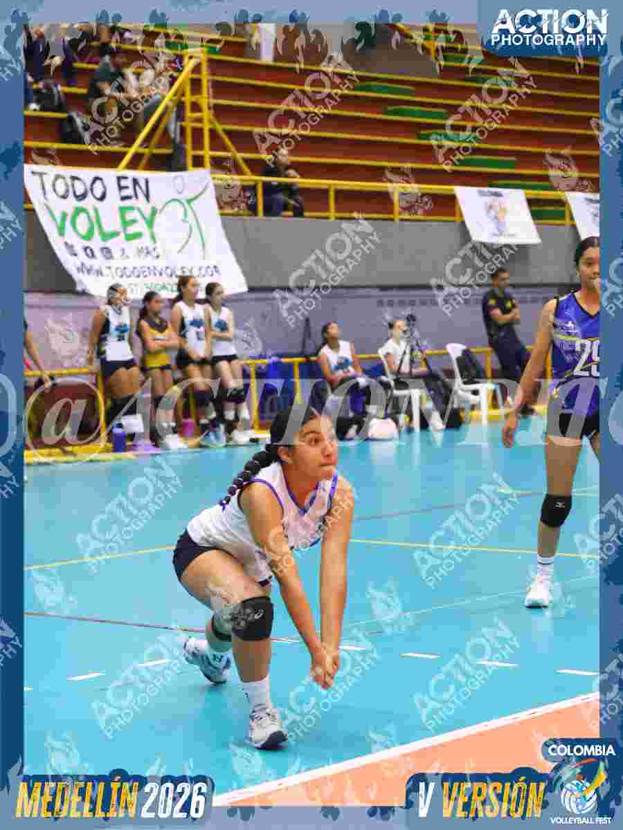 TIGRES JP Foto 3