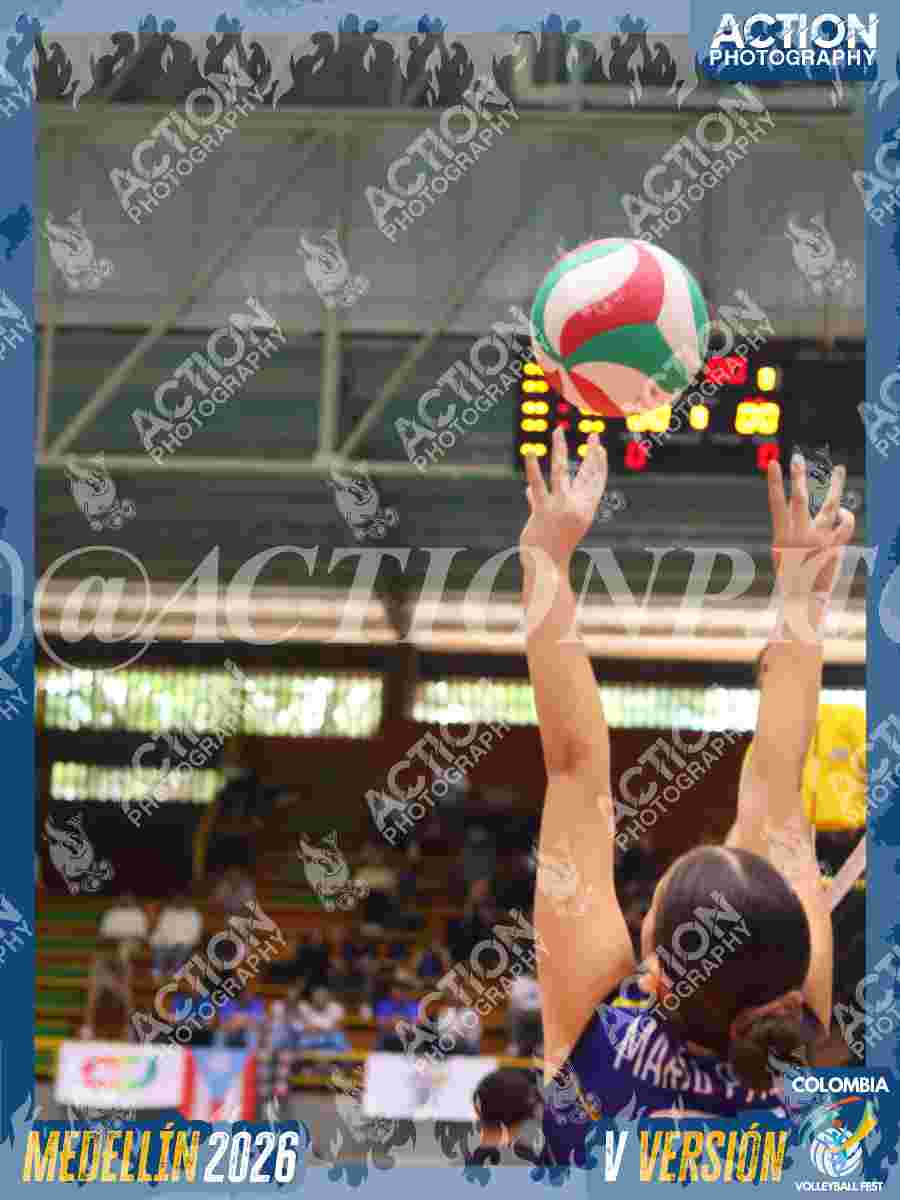 TIGRES JP Foto 12