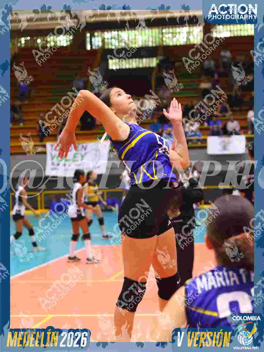 TIGRES JP Foto 12