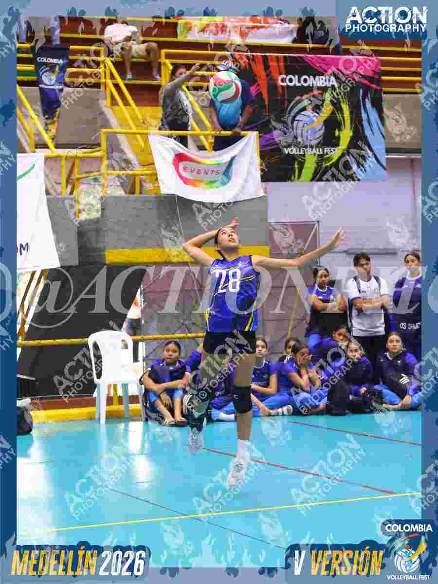 TIGRES JP Foto 3
