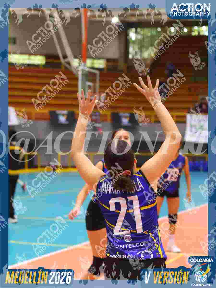 TIGRES JP Foto 12