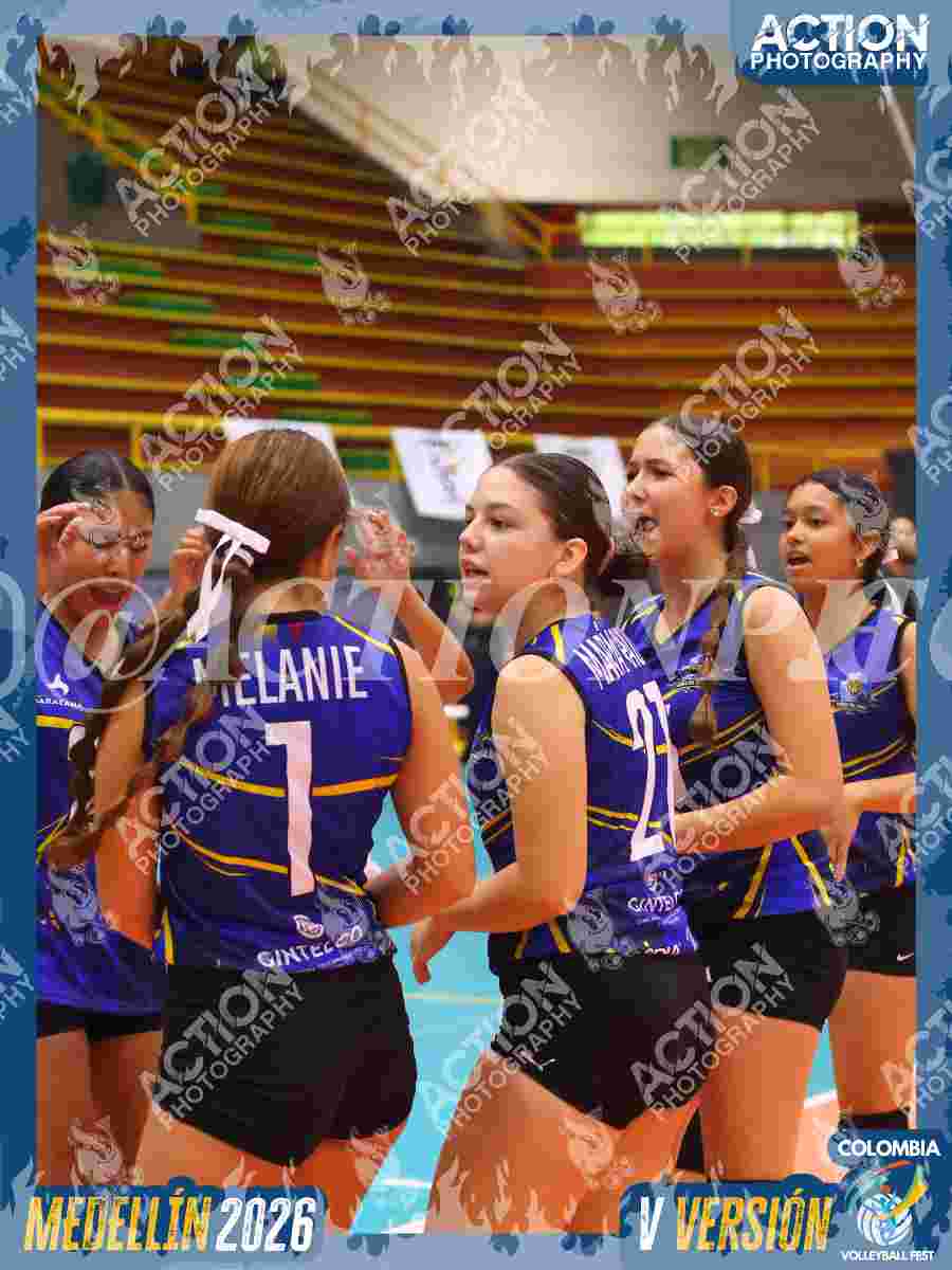 TIGRES JP Foto 3