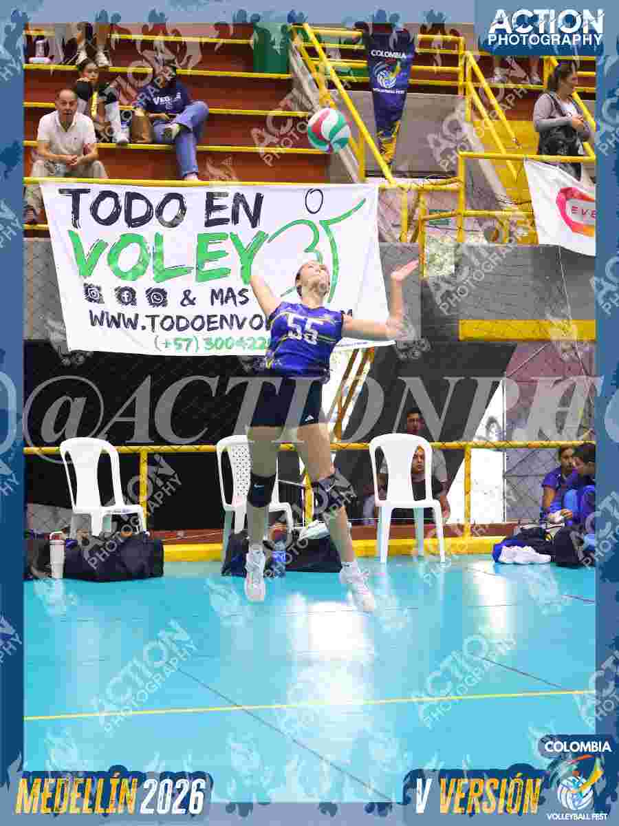 TIGRES JP Foto 3