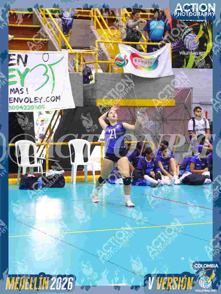 TIGRES JP Foto 12