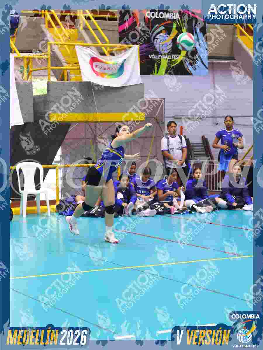 TIGRES JP Foto 12