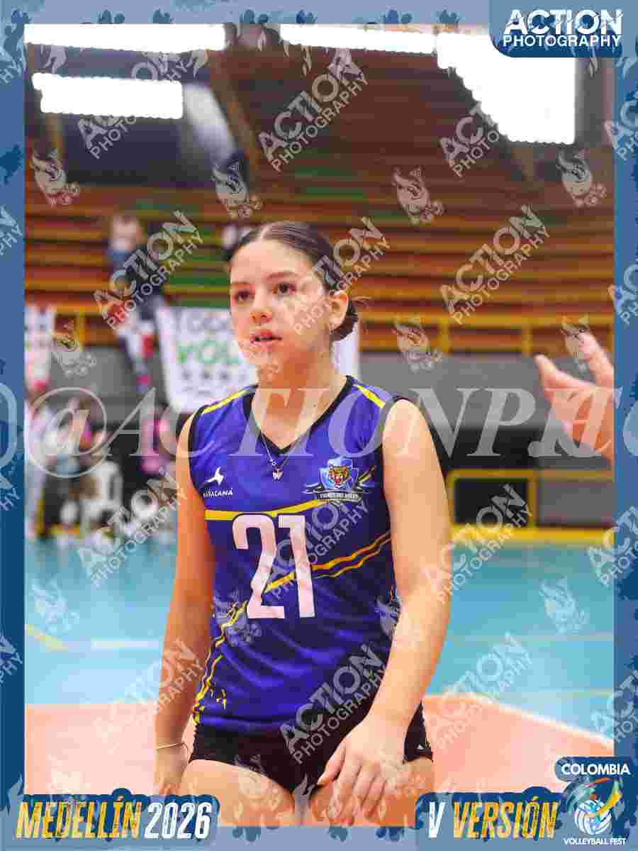 Preview de TIGRES JP