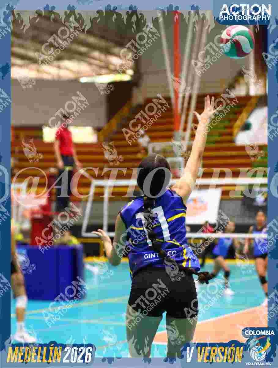 TIGRES S Foto 7