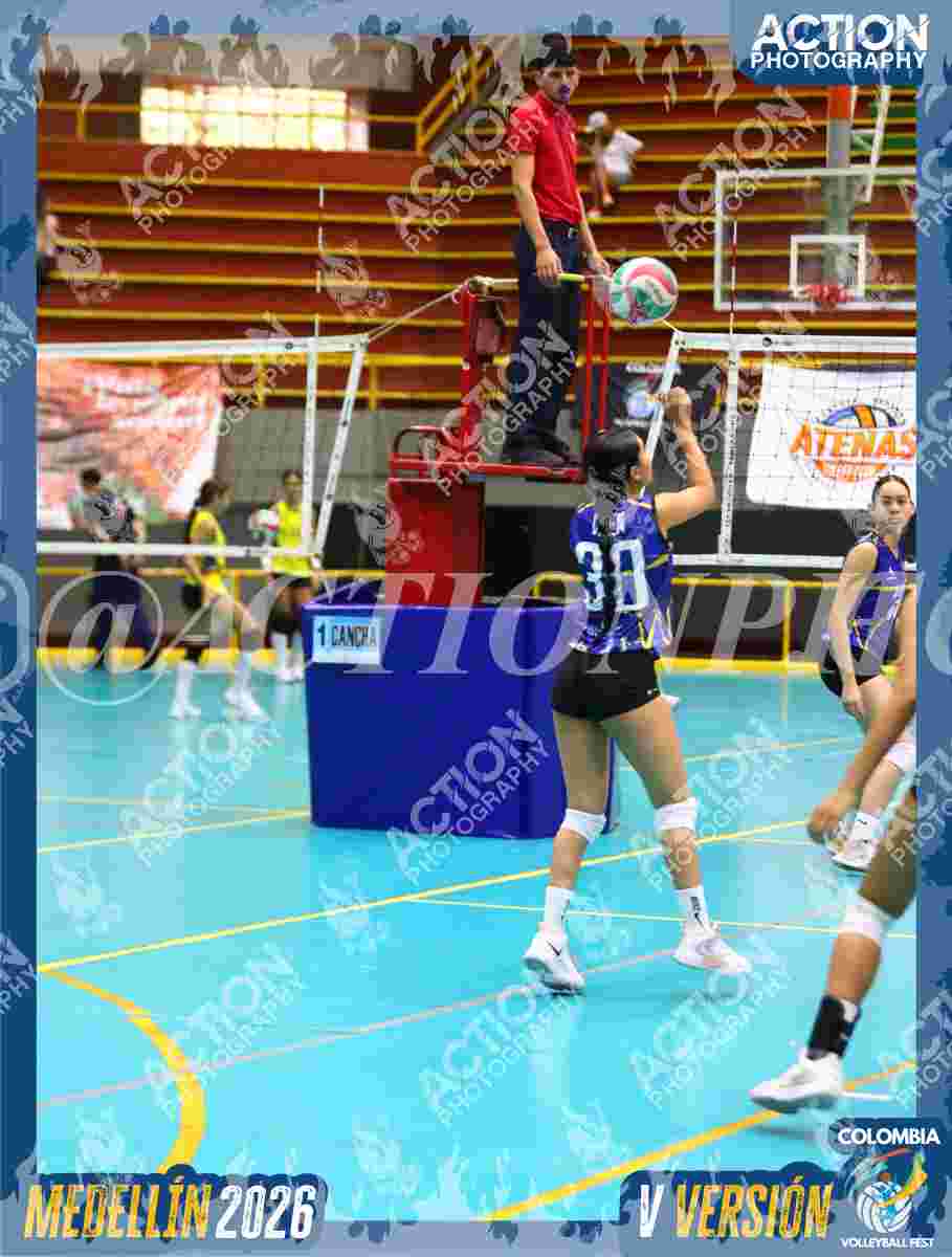 TIGRES S Foto 7