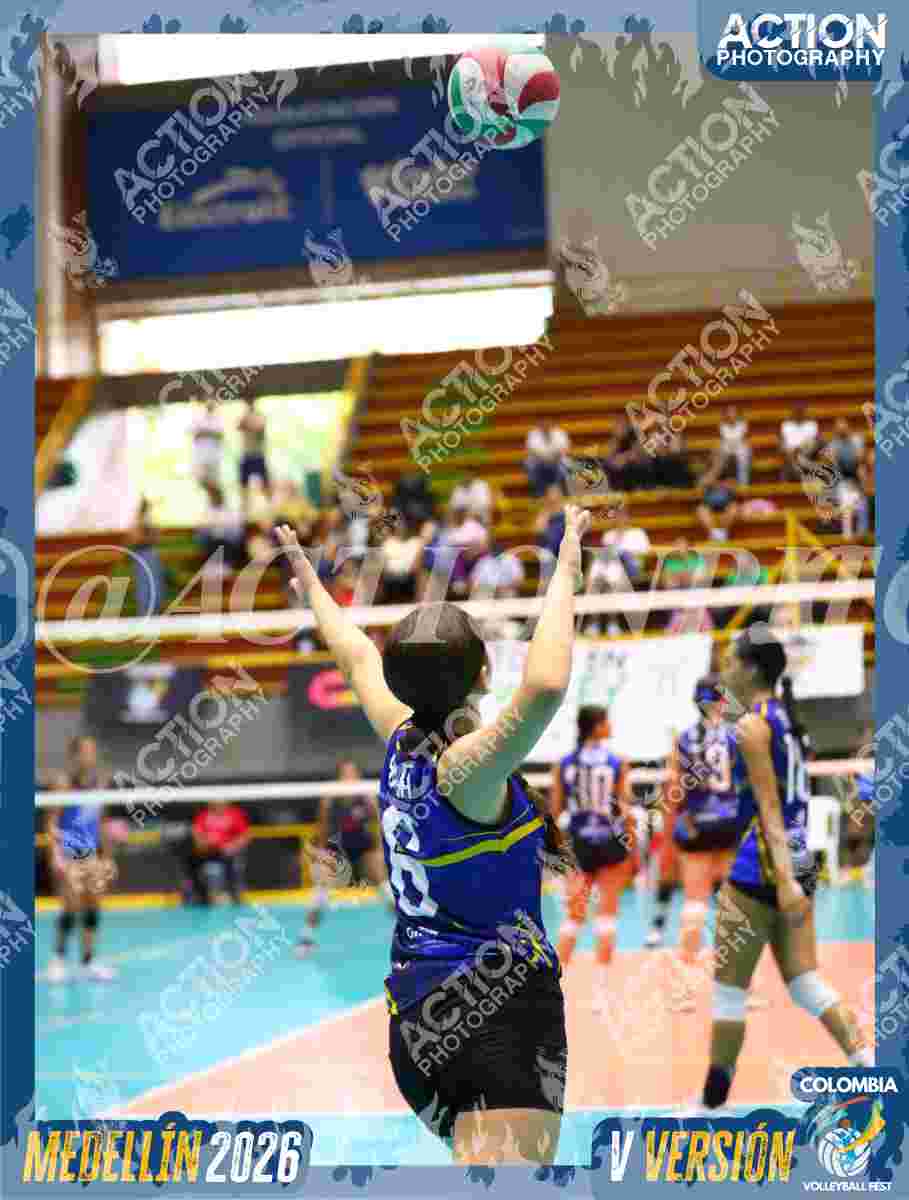TIGRES S Foto 1