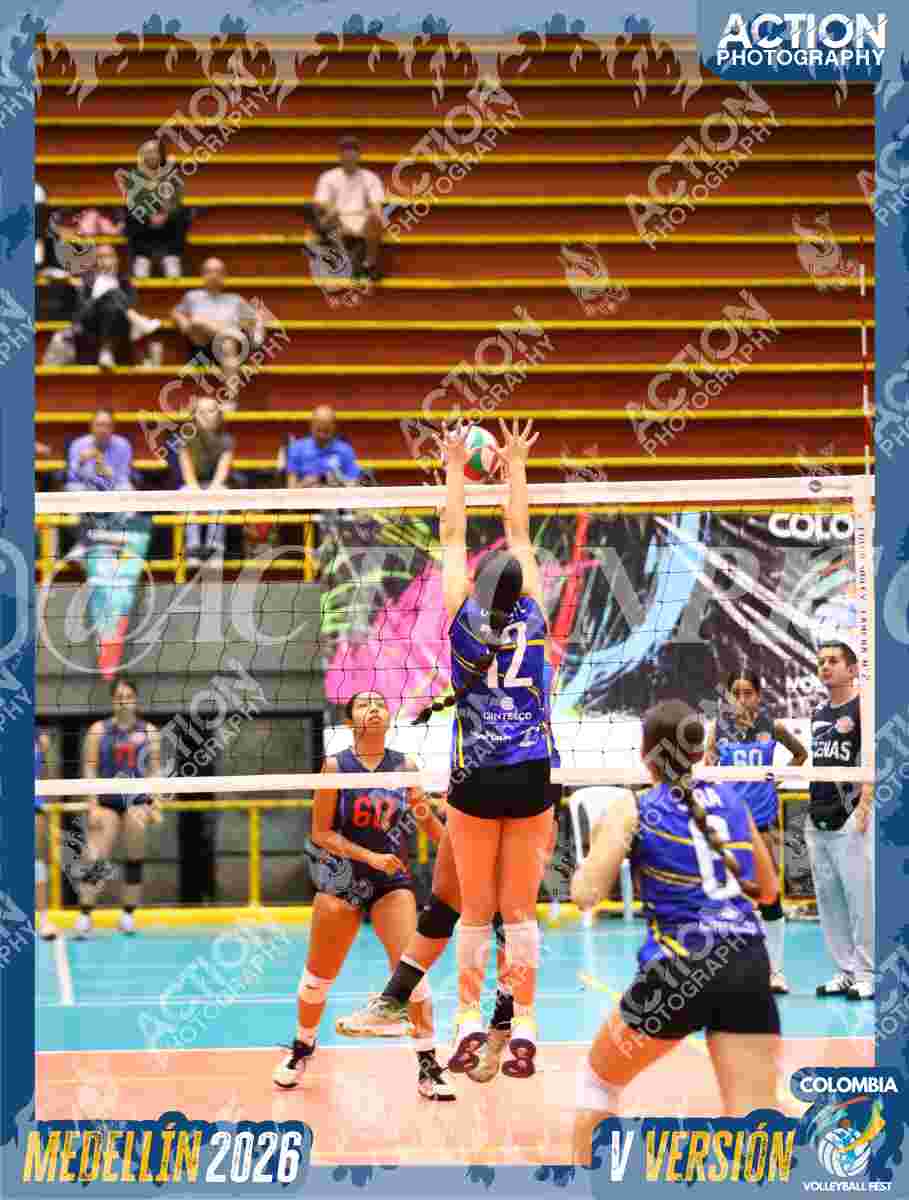 TIGRES S Foto 1
