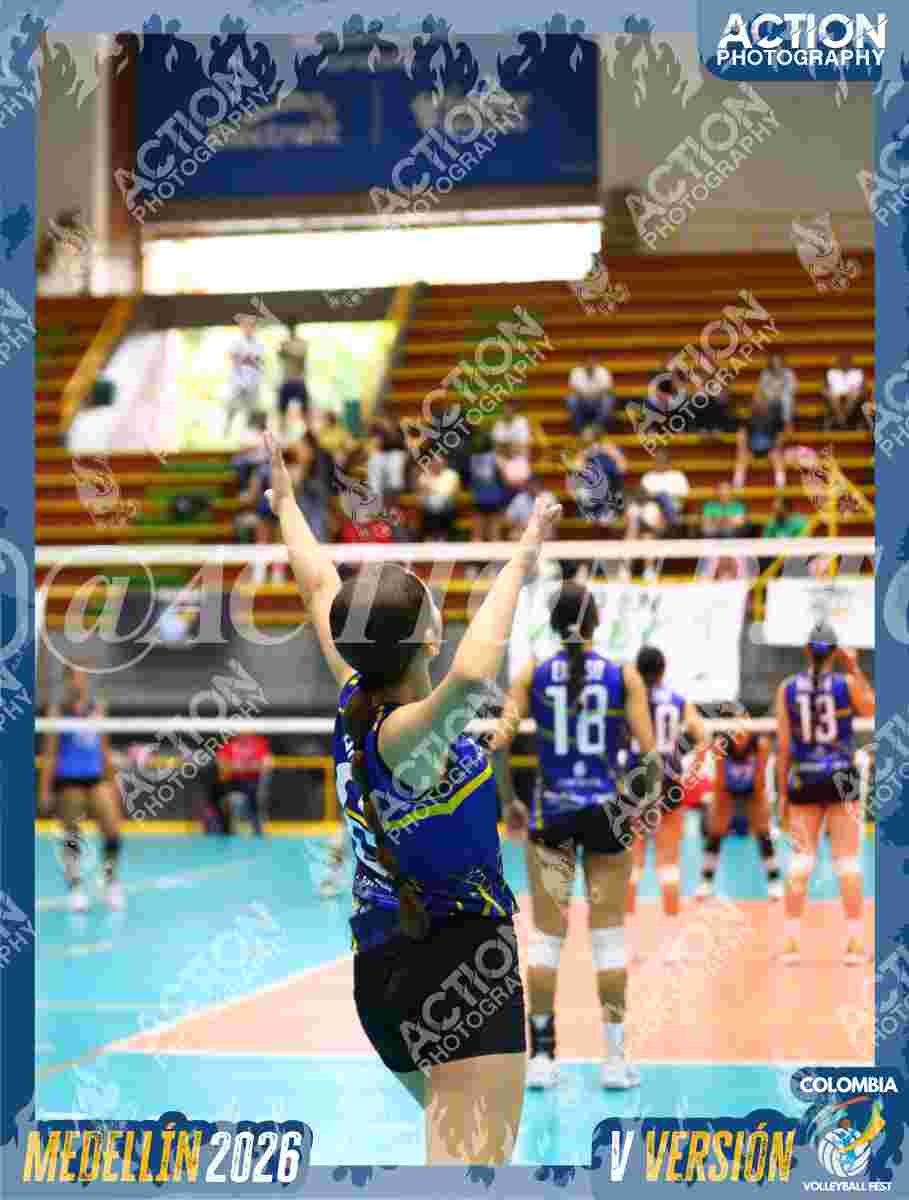 TIGRES S Foto 1