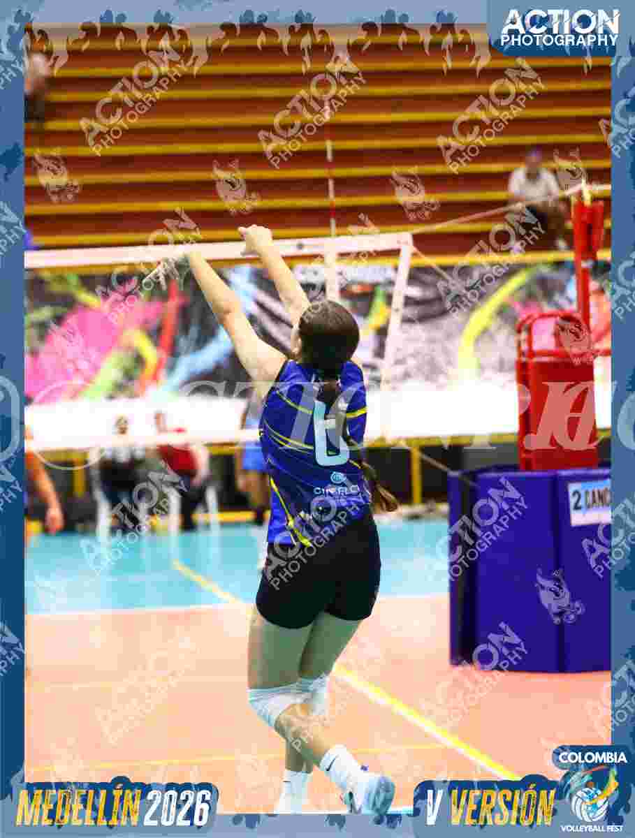 TIGRES S Foto 1