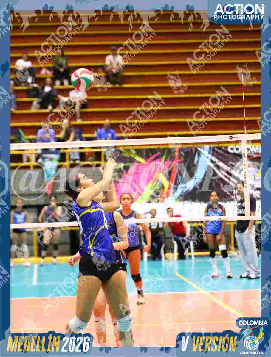 TIGRES S Foto 1