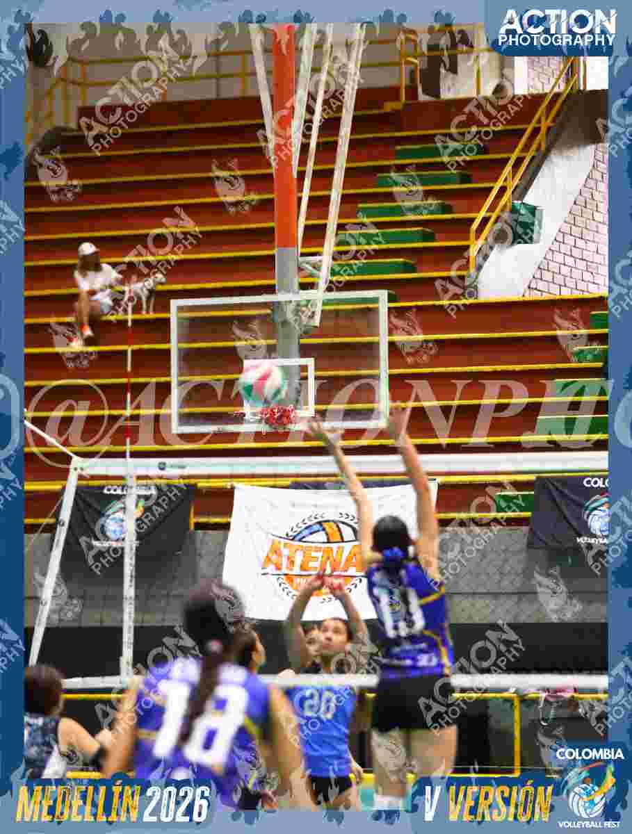 TIGRES S Foto 1