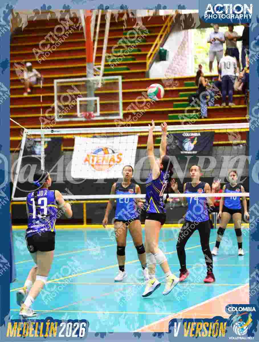 TIGRES S Foto 7