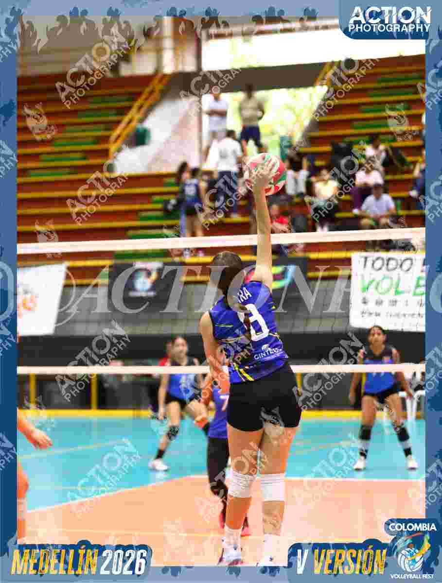 TIGRES S Foto 7
