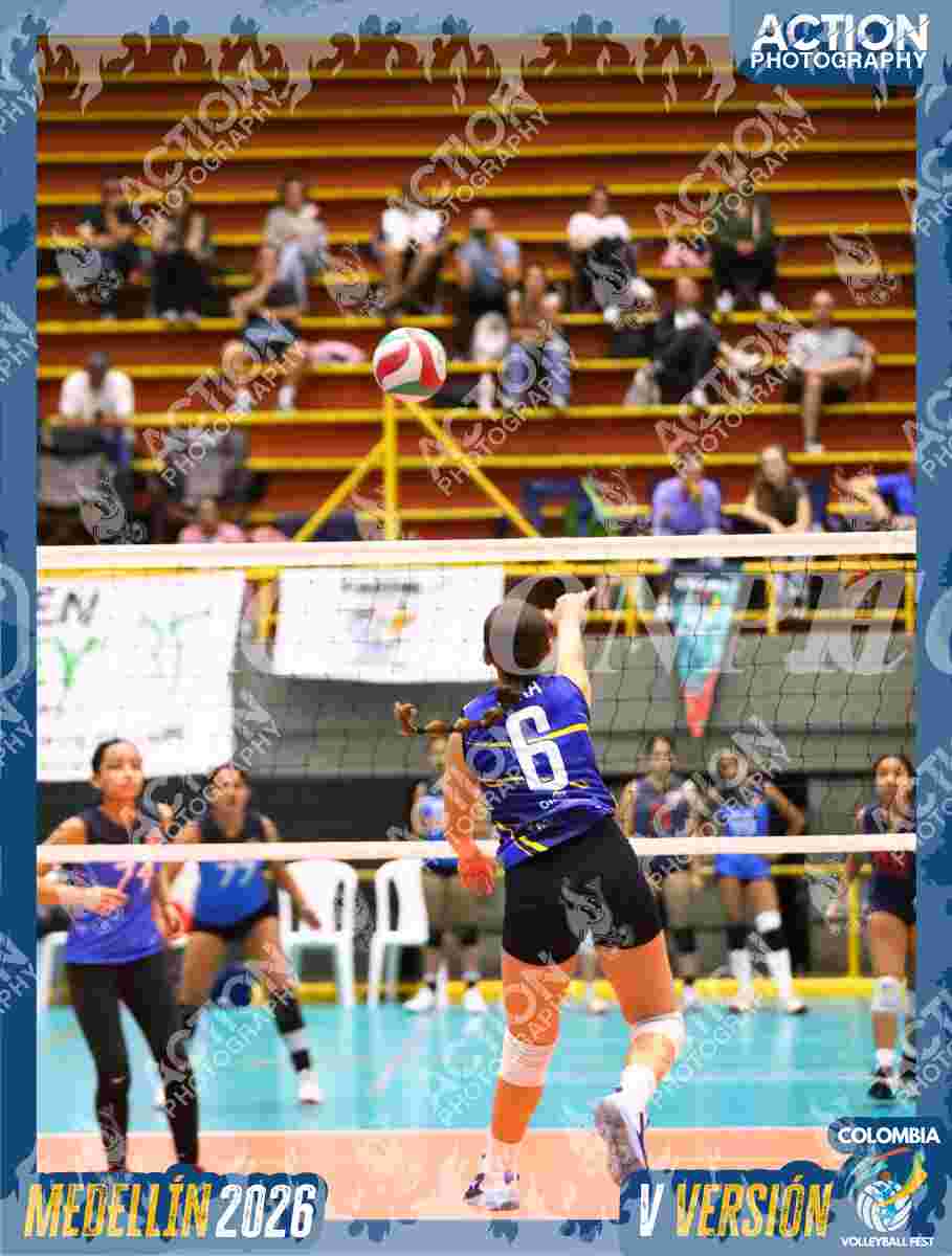 TIGRES S Foto 7