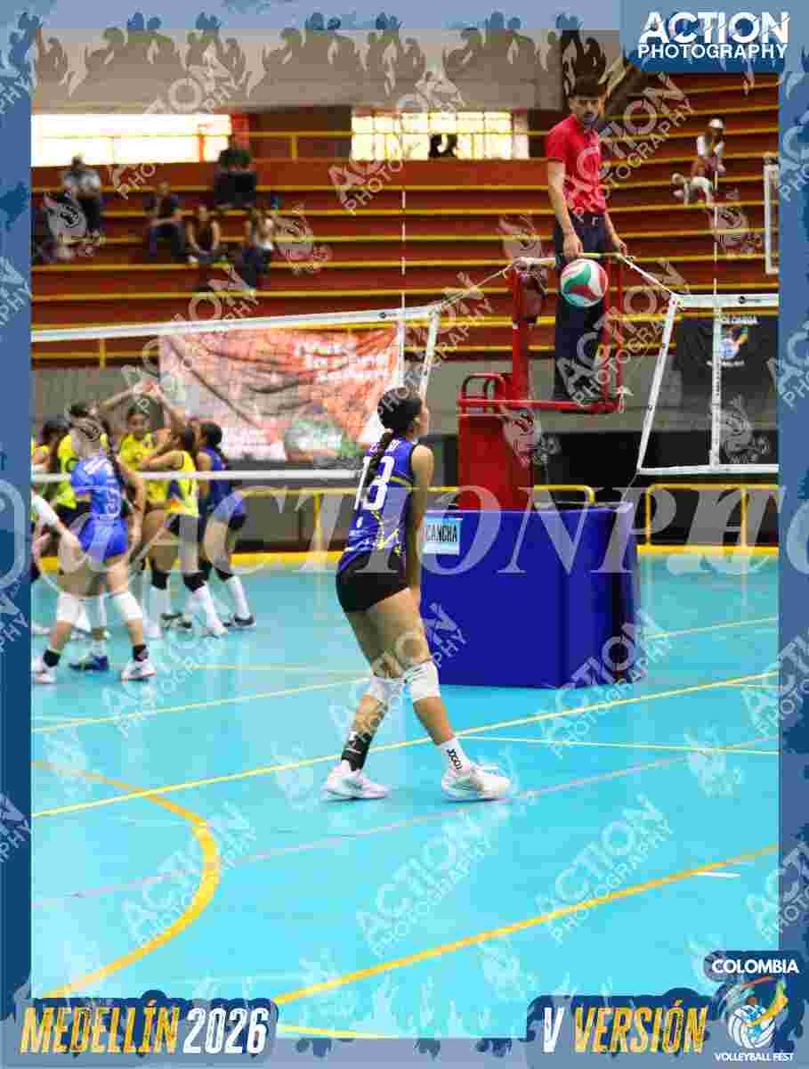 TIGRES S Foto 17