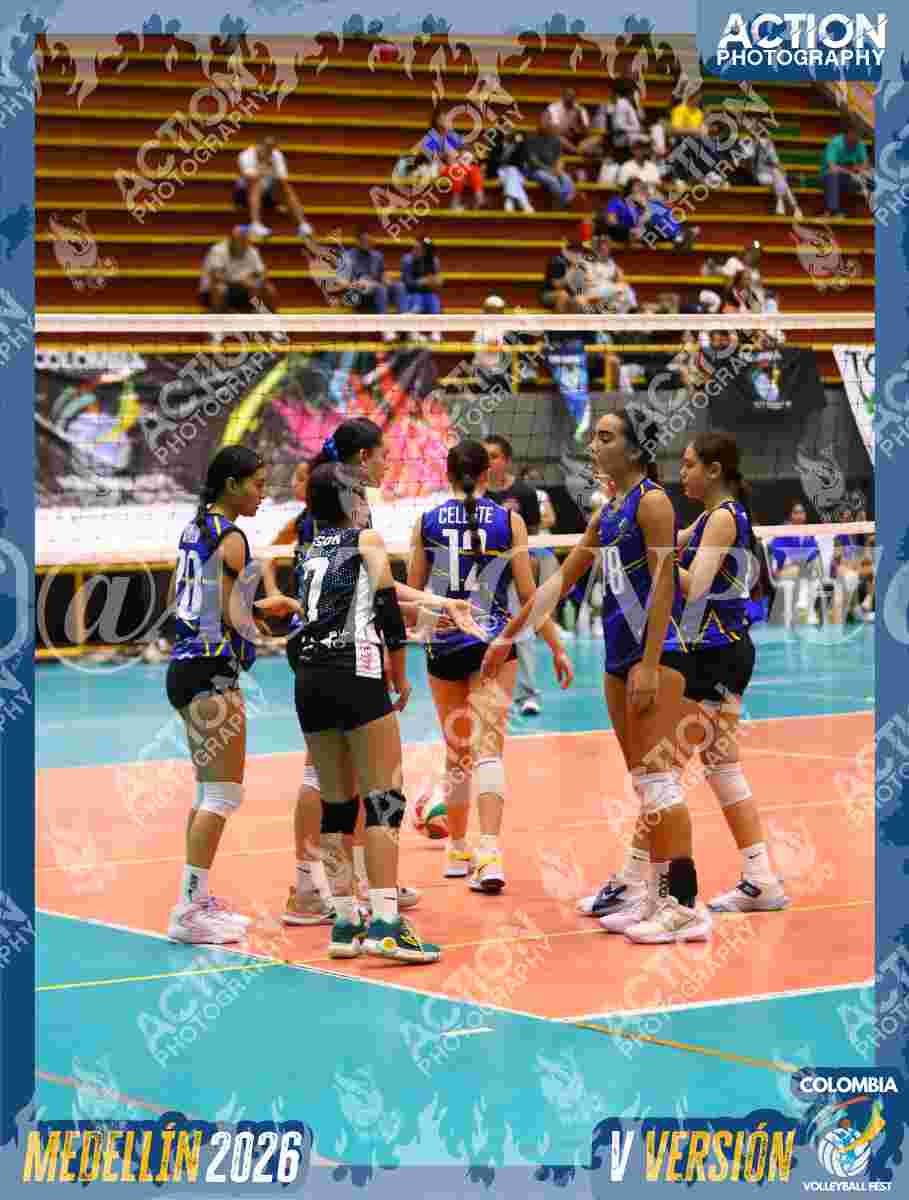 Preview de TIGRES S