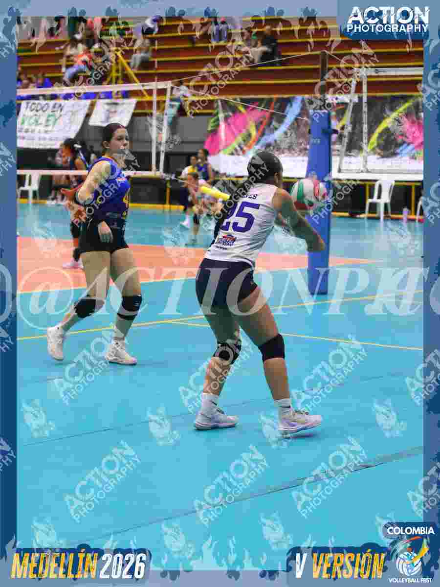 WOLVES Foto 1