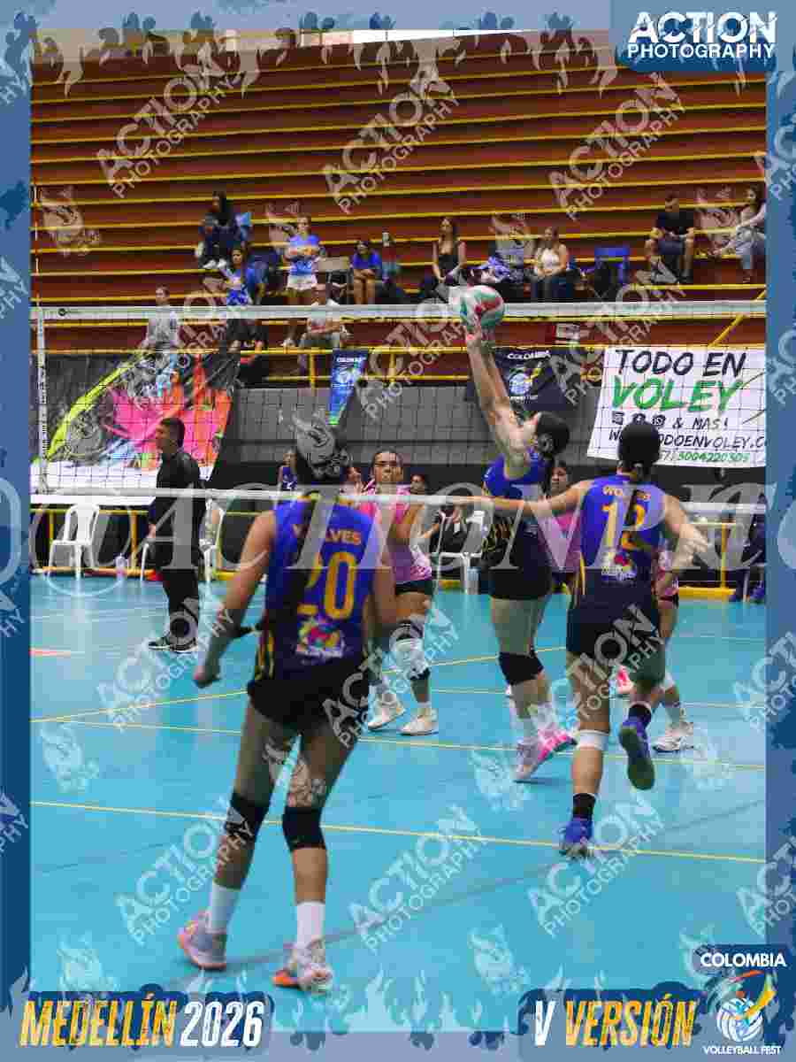 WOLVES Foto 1