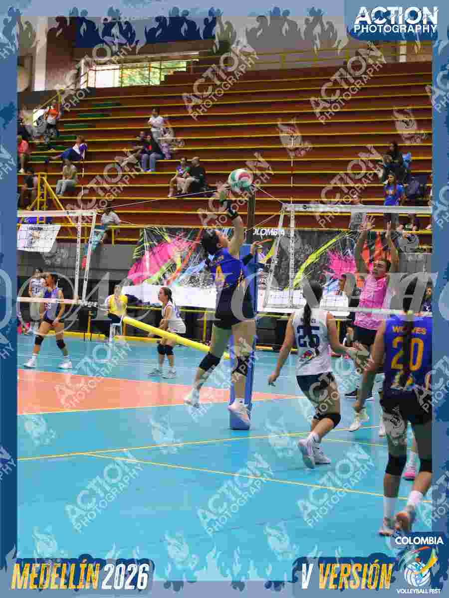 WOLVES Foto 1