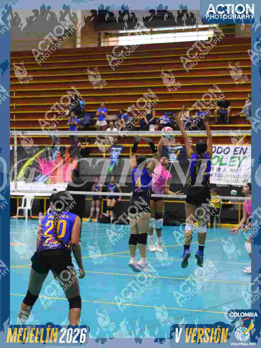 WOLVES Foto 1