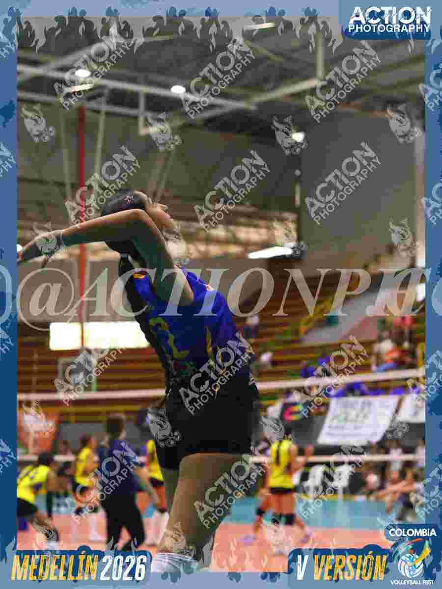 WOLVES Foto 1