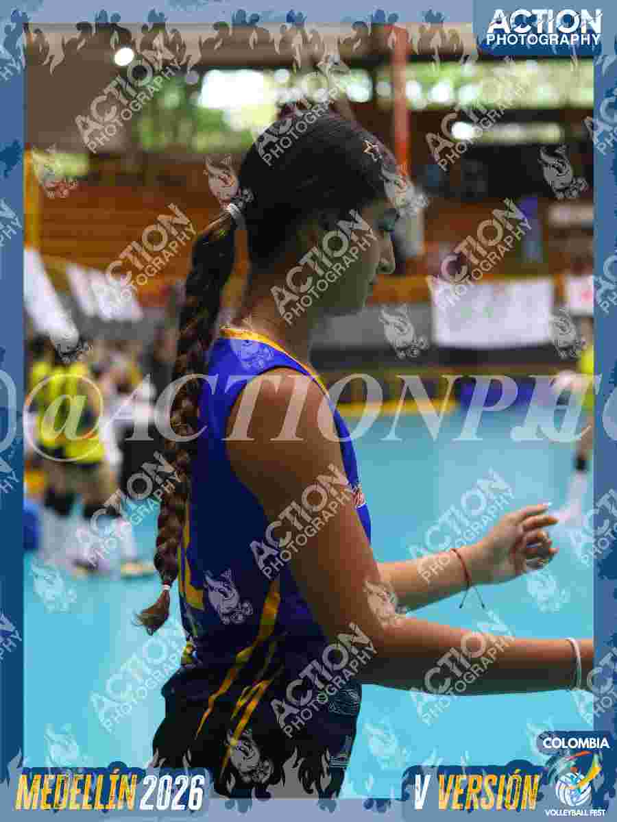 WOLVES Foto 1