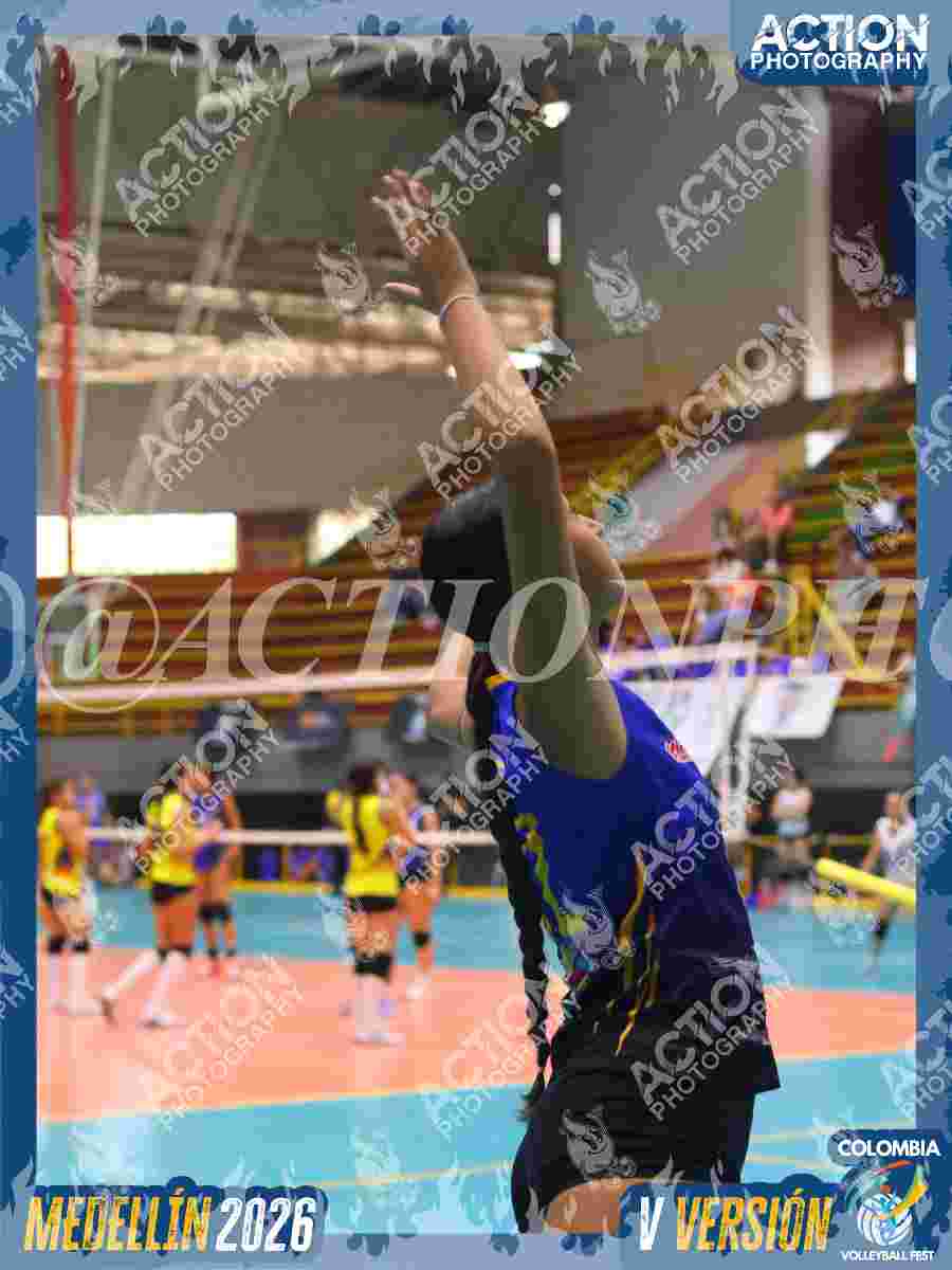 WOLVES Foto 1