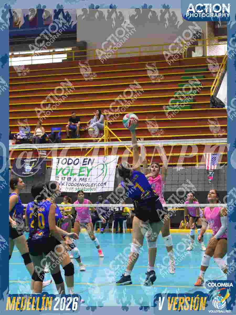 WOLVES Foto 1