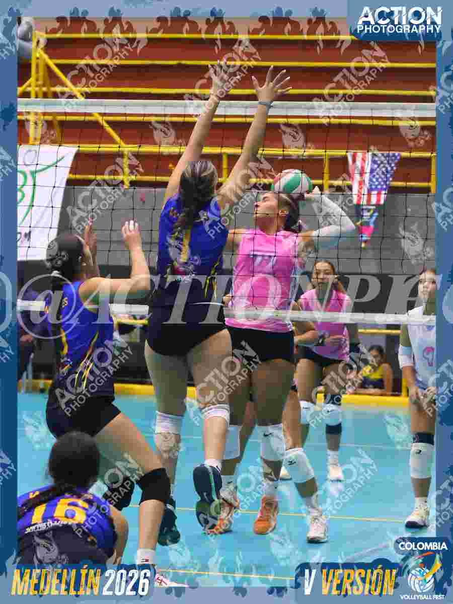 WOLVES Foto 11