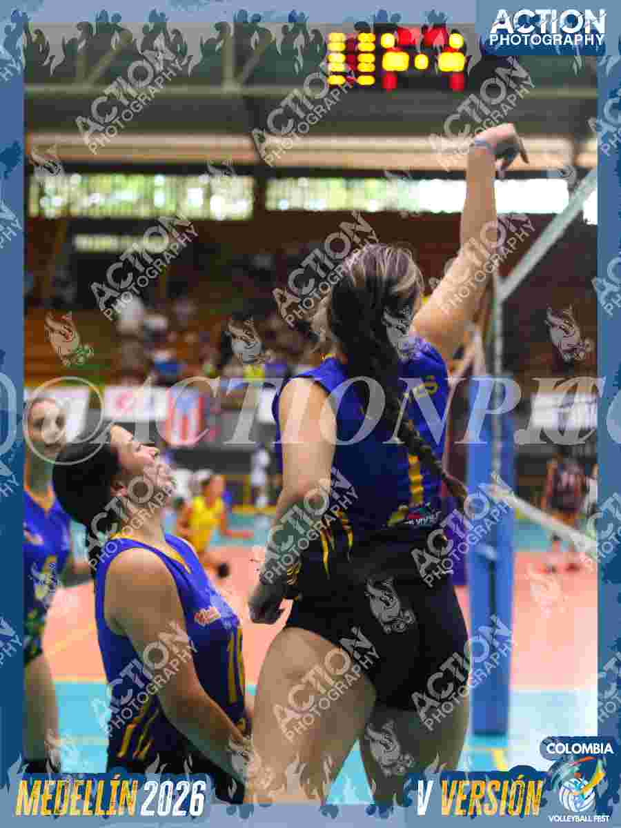 WOLVES Foto 11